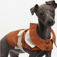 Load image into Gallery viewer, Dog Vest With Traction Buckle
