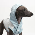 Load image into Gallery viewer, Summer Clothes For Dogs
