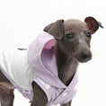 Load image into Gallery viewer, Summer Clothes For Dogs
