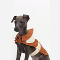 Load image into Gallery viewer, Dog Vest With Traction Buckle
