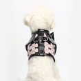 Load image into Gallery viewer, Cat And Dog Bow Chest Strap
