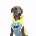 Load image into Gallery viewer, Dog Summer Clothes
