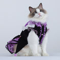 Load image into Gallery viewer, Cat Dog Marzis Party Dress
