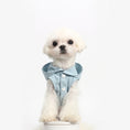 Load image into Gallery viewer, Summer Clothes For Dogs
