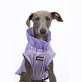 Load image into Gallery viewer, Dog Summer Clothes
