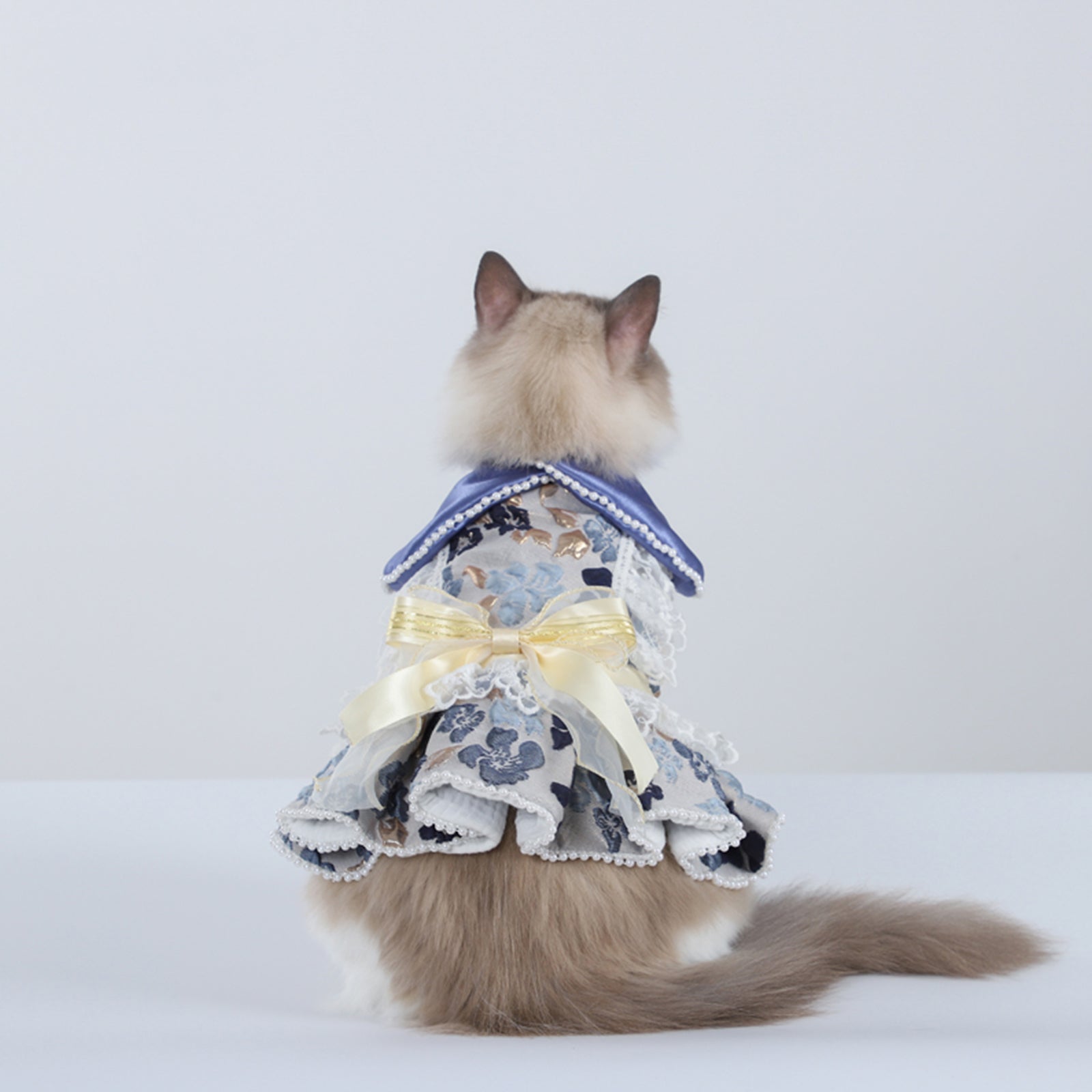 Cat And Dog Queen Dress