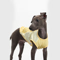 Load image into Gallery viewer, Cool Vest For Dogs
