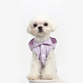 Load image into Gallery viewer, Summer Clothes For Dogs
