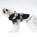 Load image into Gallery viewer, Dog Sweater + Trench Coat
