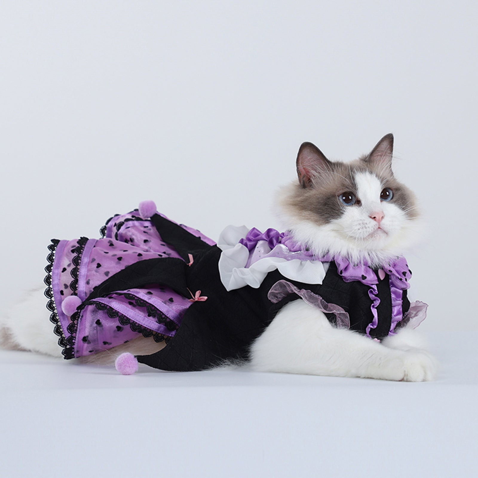 Cat Dog Marzis Party Dress