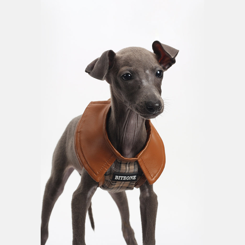 Chest Vest For Cats And Dogs