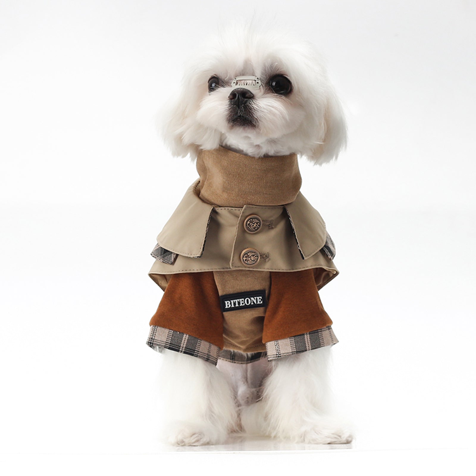 Dog Sweater + Trench Coat