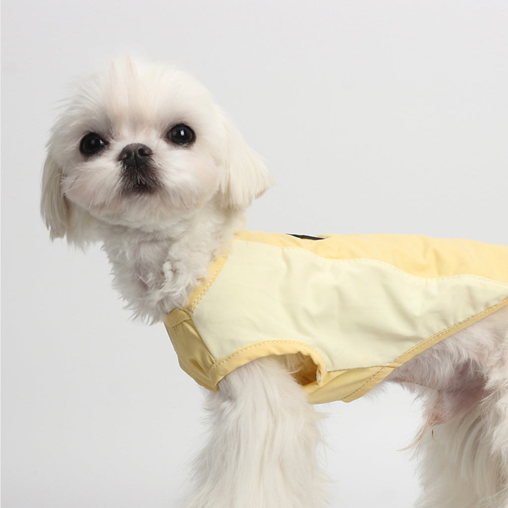 Cool Vest For Dogs