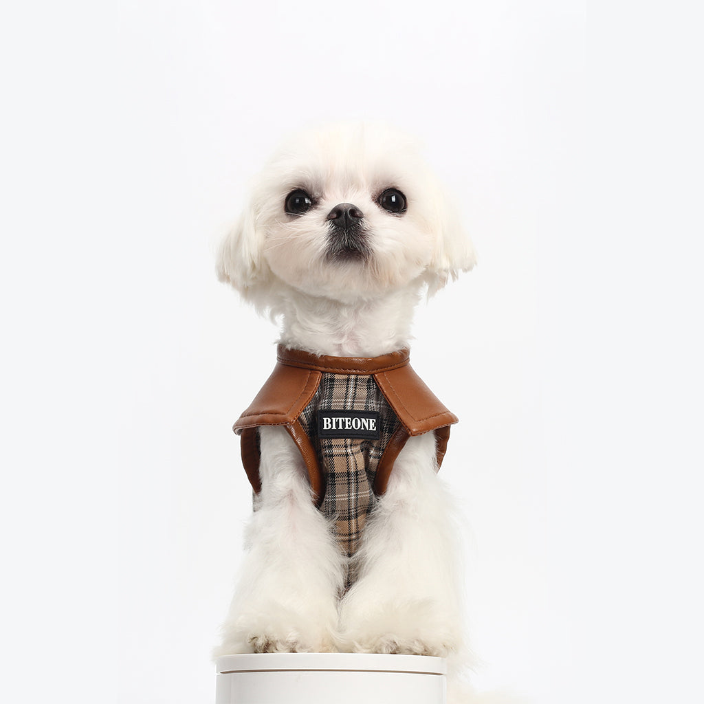 Chest Vest For Cats And Dogs