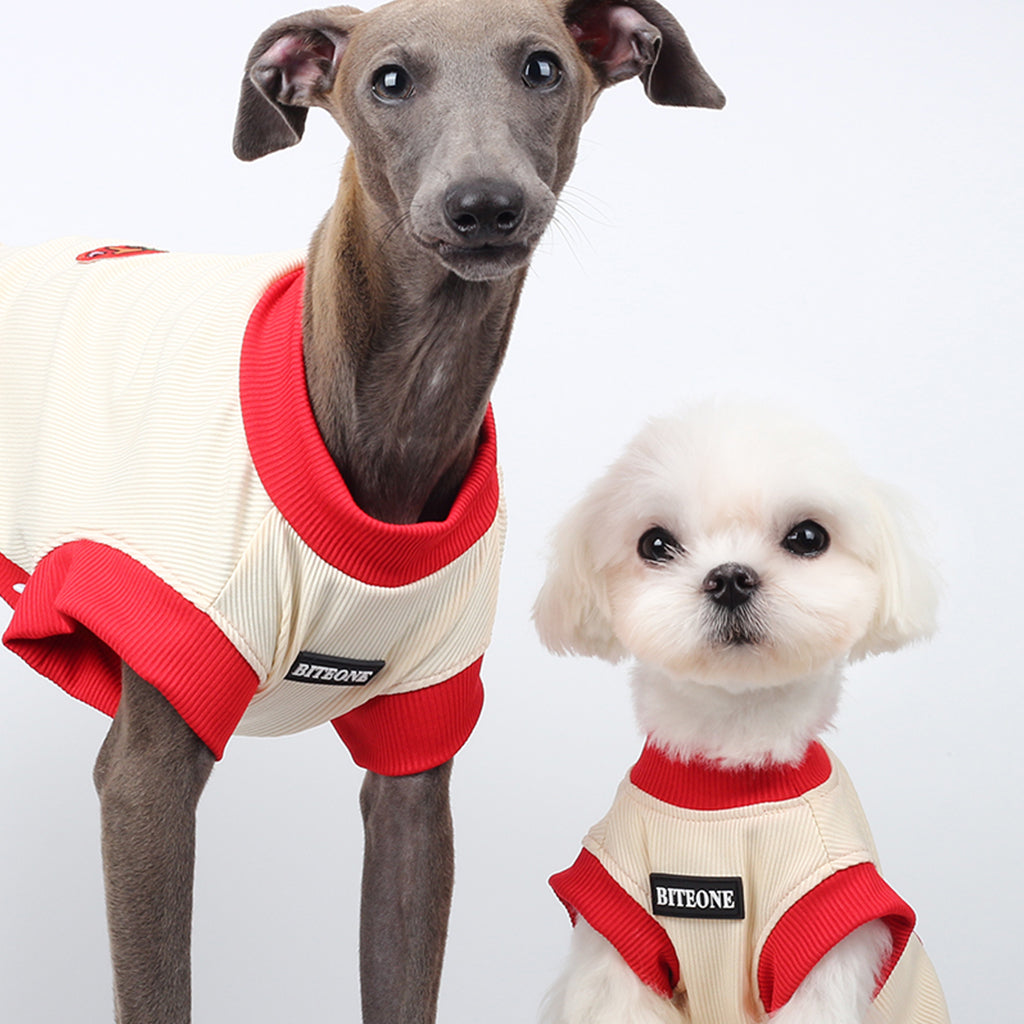 Dog And Cat Summer Vest