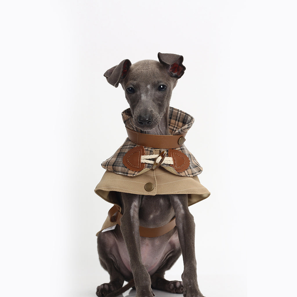 Dog Trench Coat