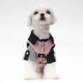 Load image into Gallery viewer, Dog And Cat Shirt + Vest
